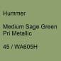 Preview: Hummer, Medium Sage Green Pri Metallic, 45 / WA605H.